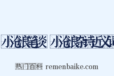 小沧浪笔谈·小沧浪杂诗近义词是什么意思的图片